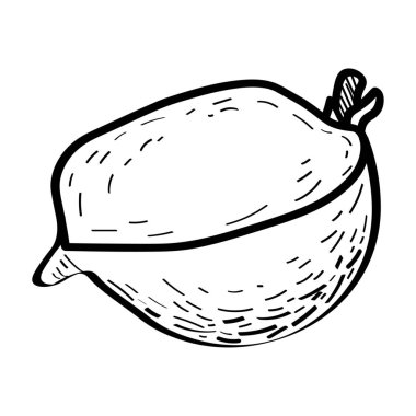 Beyaz arkaplanda turpu kes