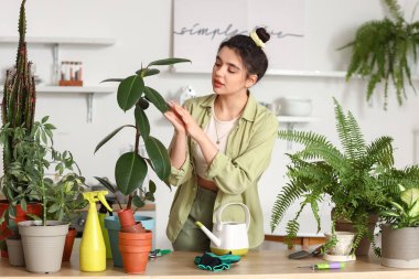 Mutfakta incir ağacı olan genç bir kadın.