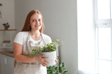 Young woman with green houseplant in kitchen