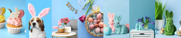 Colagem Festiva Para Celebração Páscoa Com Cão Bonito Ovos Pintados — Fotografia de Stock