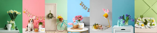 Feestelijke Collage Voor Pasen Viering Kleur Achtergrond — Stockfoto