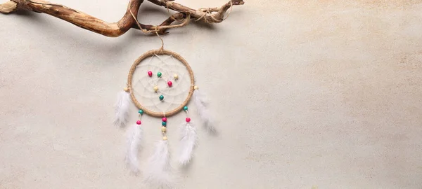 Dream Catcher Tree Branch Light Background Space Text — Stock Photo, Image