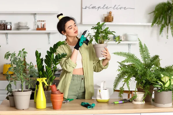 Young Woman Green Houseplants Kitchen — Stockfoto