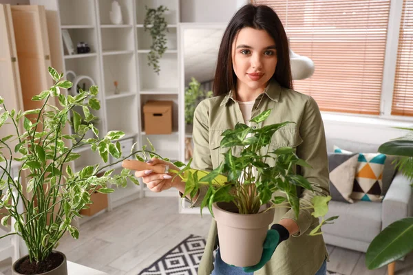 Young Woman Shovel Green Houseplant Home — Stockfoto