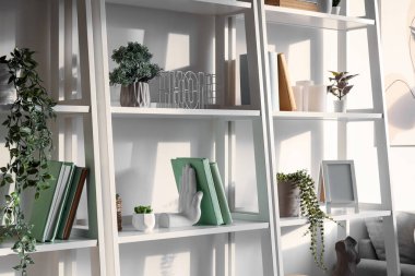 Oturma odasında yapay bitki, kitap ve dekor bulunan raflar.