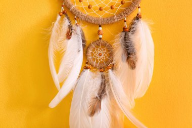 Sarı duvarda asılı düş kapanı, yakın plan