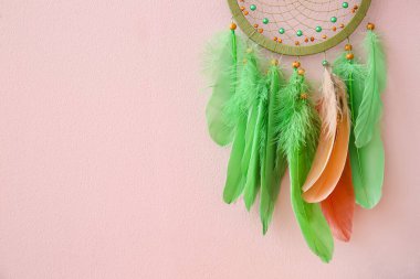 Pembe duvarda asılı düş kapanı, yakın plan.