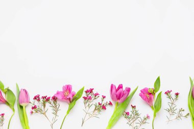 Beyaz arka planda güzel pembe çiçekler