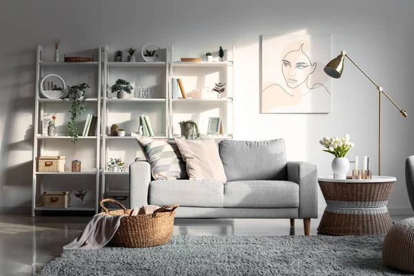 Interior Ruang Tamu Cahaya Dengan Sofa Unit Rak Dan Tanaman — Stok Foto