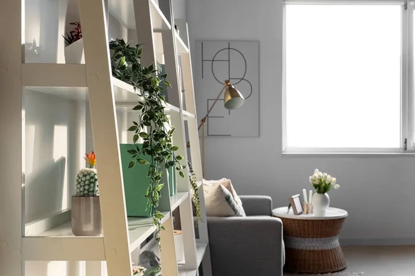 Shelving units with artificial plants, books and decor in living room
