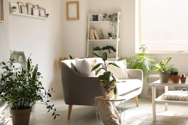 Interior Ruang Tamu Dengan Sofa Meja Dan Tanaman Rumah Tangga — Stok Foto