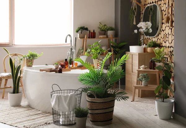 Innenraum Des Badezimmers Mit Grünen Zimmerpflanzen Und Badewanne — Stockfoto