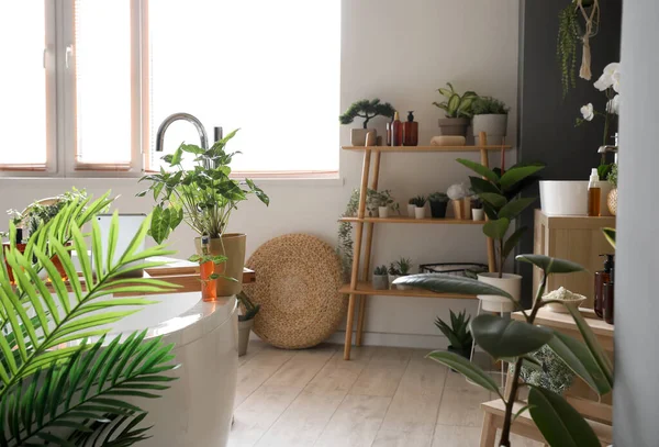 Innenraum Des Badezimmers Mit Grünen Zimmerpflanzen Regal Und Badewanne — Stockfoto