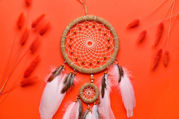 Dream Catcher Flowers Red Background Closeup — Stock Photo, Image
