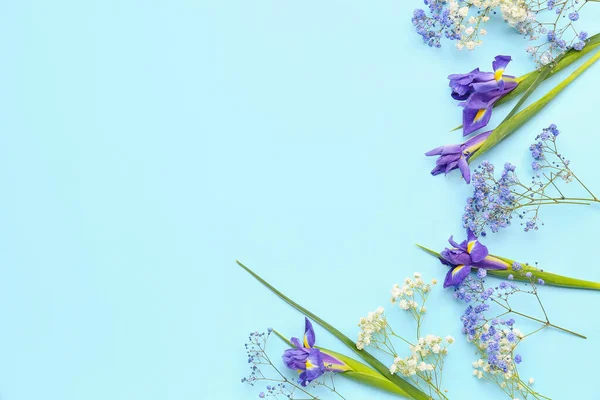 Beautiful Flowers Blue Background — Stock Photo, Image