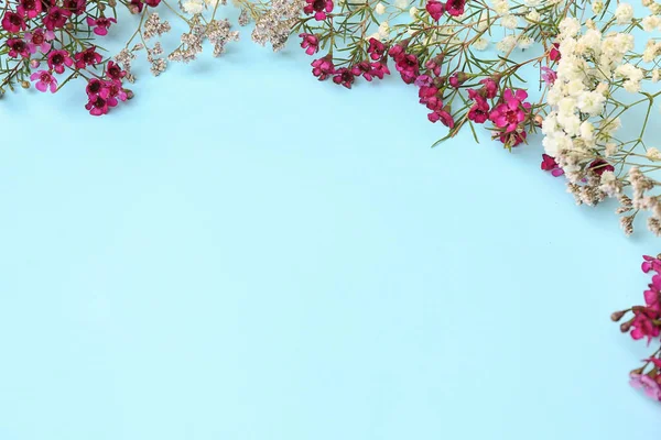 Frame Made Gypsophila Flowers Blue Background — Stock Photo, Image