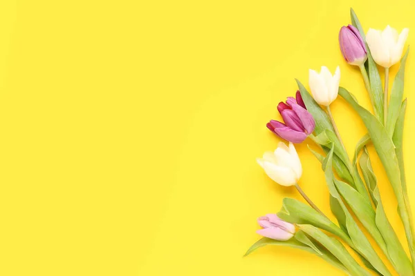 Beautiful Tulips Yellow Background — Stock Photo, Image
