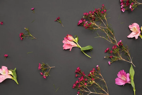 Siyah Arka Planda Güzel Pembe Çiçekler — Stok fotoğraf