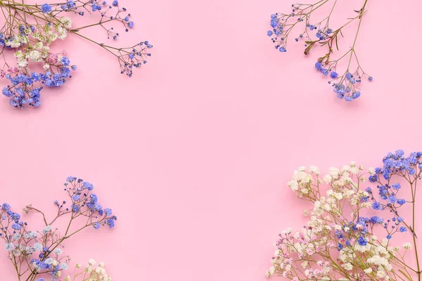 Frame Made Gypsophila Flowers Pink Background — Stock Photo, Image
