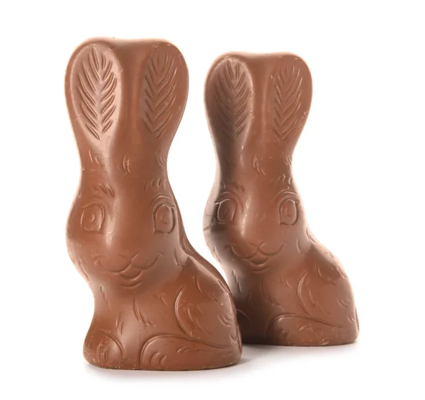 Chocolate Easter Bunnies Isolated White Background — Stock Photo, Image