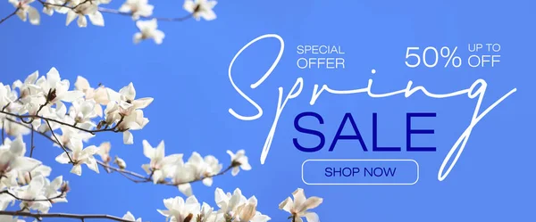 Gyönyörű Virágzó Magnólia Kék Háttérrel Tavaszi Értékesítés — Stock Fotó