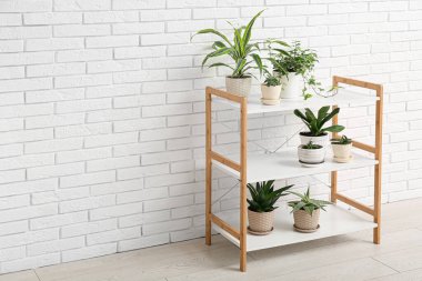 Beyaz tuğla duvarın yanında yeşil çiçekli raf ünitesi