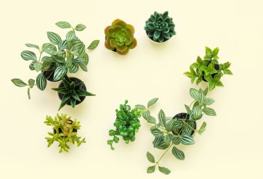 Işık arkaplanındaki yapay bitkilerden yapılmış çerçeve