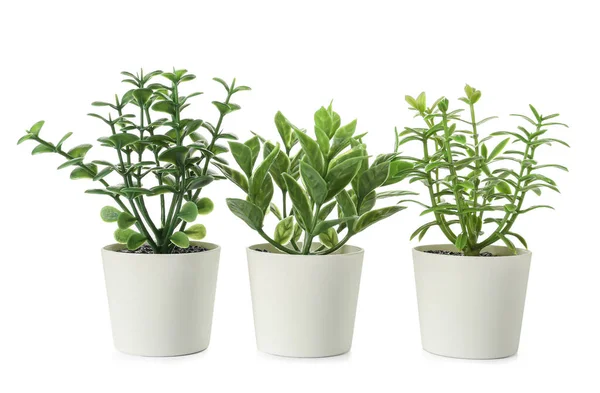 Mesterséges Növények Fehér Alapon — Stock Fotó