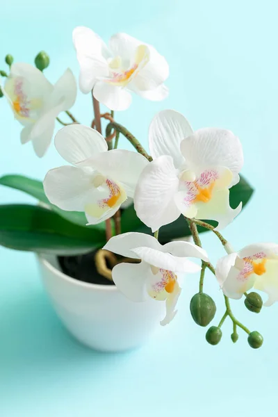 Artificial Orchid Flower Blue Background Closeup — Stock Photo, Image