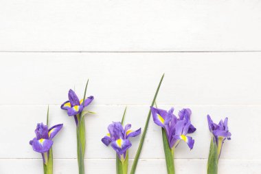 Beyaz ahşap arka planda mor iris çiçekleri