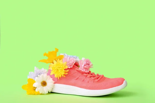 Cipő Tavaszi Virágok Zöld Háttér — Stock Fotó