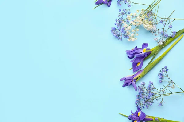 Beautiful Flowers Blue Background — Stock Photo, Image
