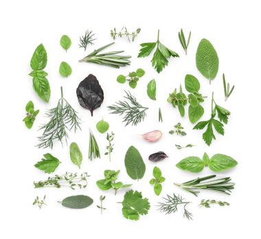 Beyaz arkaplanda izole edilmiş aromatik bitkilerle bileşim