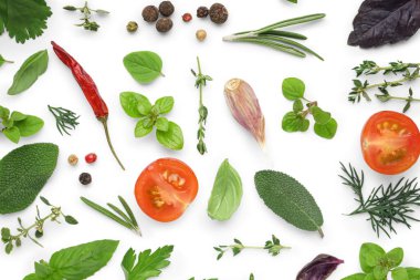 Beyaz arka planda taze otlar, baharatlar ve domateslerle kompozisyon
