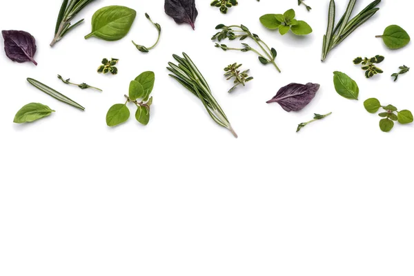 Összetétel Különböző Friss Fűszerekkel Fűszernövényekkel Fehér Alapon — Stock Fotó