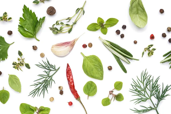 Composition Fresh Herbs Spices White Background — Stock Photo, Image