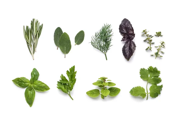 Assortment Fresh Herbs White Background — Stock Photo, Image