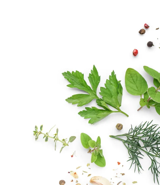Composition Fresh Herbs Aromatic Spices White Background — Stock Photo, Image