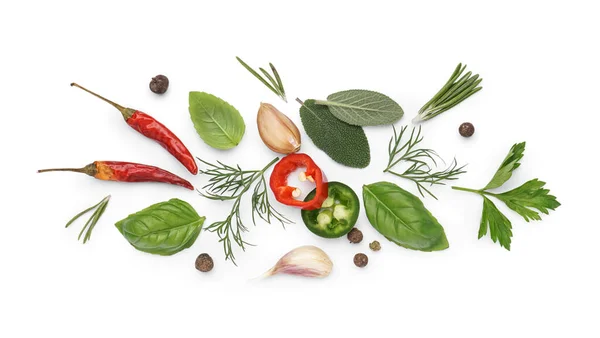 Komposition Mit Gemüse Gewürzen Und Kräutern Isoliert Auf Weißem Hintergrund — Stockfoto