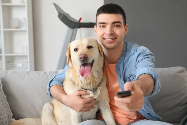 Young man with cute Labrador dog watching TV on sofa at home