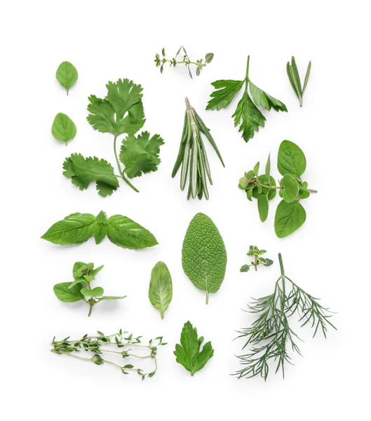 Composition Different Fresh Herbs Isolated White Background — Stock Photo, Image