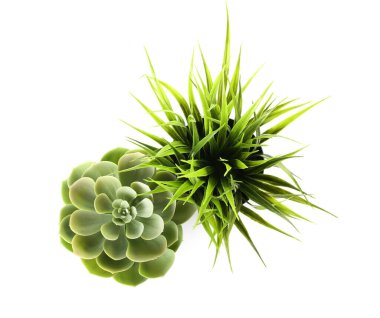 Beyaz arkaplanda yapay bitkiler