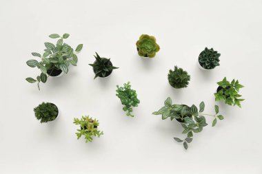 Işık arkaplanındaki yapay bitkiler