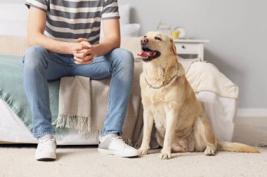 Yatak odasında Labrador köpeği olan genç adam.