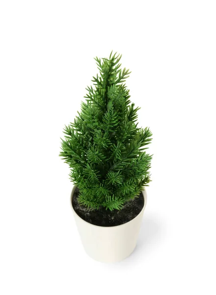 Artificial Plant White Background — Stock Photo, Image