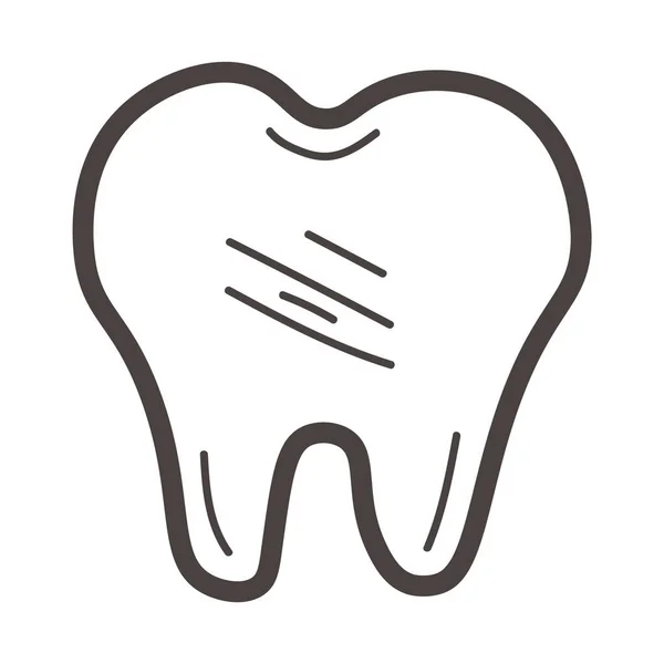 Drawn Tooth White Background — Vector de stock