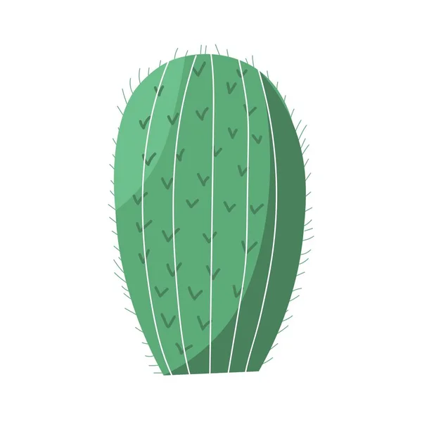 Cactus Verde Sobre Fondo Blanco — Vector de stock