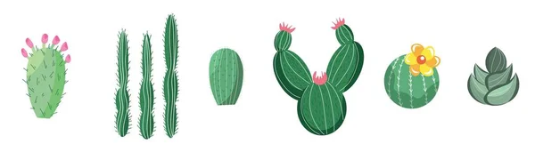 Set Van Verschillende Cactussen Vetstoffen Witte Achtergrond — Stockvector