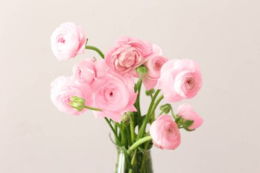 Açık arkaplanda pembe ranunculus çiçekli vazo