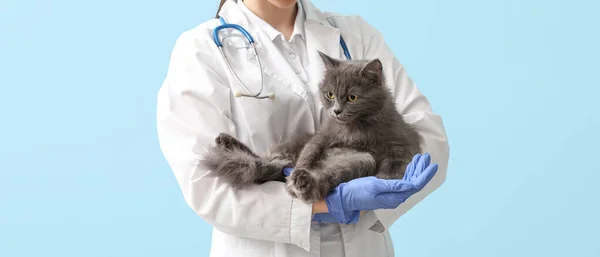Female veterinarian holding cute cat on light blue background